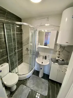 a bathroom with a shower and a toilet and a sink at APARTMAN TAMARA LUX in Vrnjačka Banja