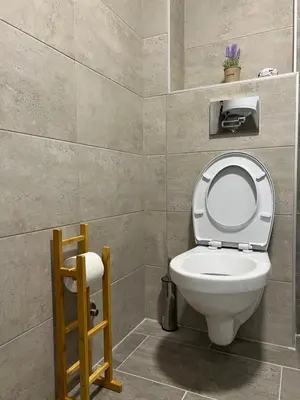 a bathroom with a white toilet in a room at Sweet Dreams & Free parking in Vrnjačka Banja