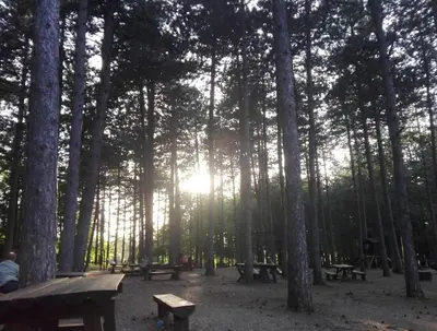 a group of picnic tables in a park with trees at Apartman Borići in Soko Banja