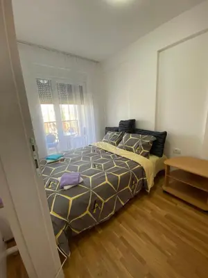 a bedroom with a large bed in a room at Apartman BojAna Vrnjačka Banja in Vrnjačka Banja