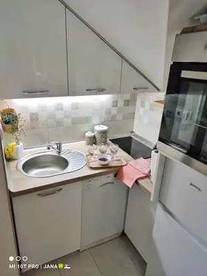 a small kitchen with a sink and a refrigerator at Vrnjački apartman in Vrnjačka Banja