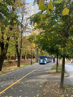 a bus is parked on the side of a road at Vrnjački apartman in Vrnjačka Banja