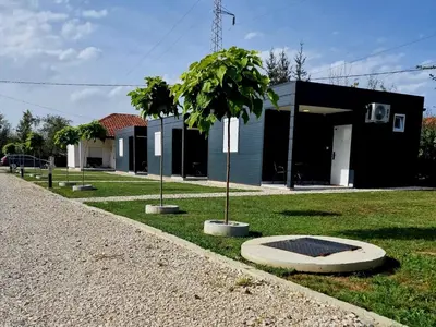 a house with a palm tree in the yard at Đerdan Garden apartments in Kraljevo