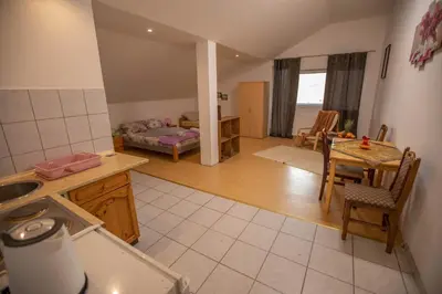 a kitchen and living room with a table and a couch at Apartmani Lazić in Ribarska Banja