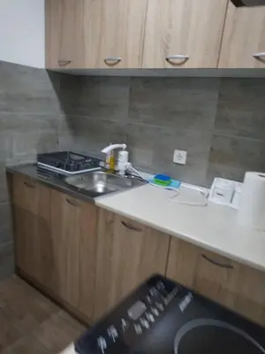 a kitchen with a sink and a counter top at Apartman Ninic in Vrnjačka Banja