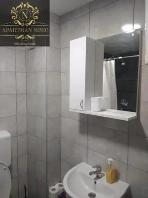 a bathroom with a sink and a mirror and a toilet at Apartman Ninic in Vrnjačka Banja