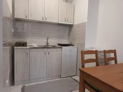 a kitchen with a sink and a refrigerator at Apartman Rubi Sokobanja in Soko Banja