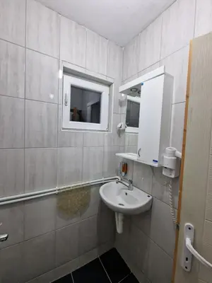 a bathroom with a sink and a mirror at Vila Vlasina in Vlasina Rid