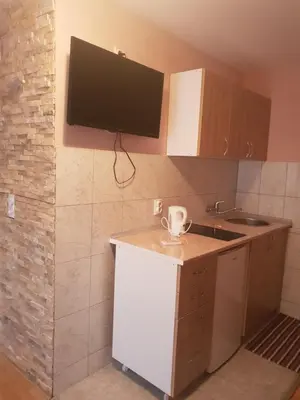 a kitchen with a sink and a tv on the wall at Vila Dubrovnik in Vrnjačka Banja