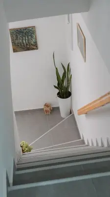 a stairway with a potted plant and a plant at Apartmani Bubamara Leskovac in Leskovac