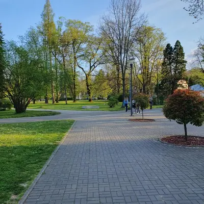 a brick walkway in a park with a tree at Zlatna iskra in Ruđinci