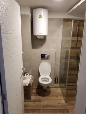 a small bathroom with a toilet and a shower at RELAX MILMARI-kopaonik in Kopaonik