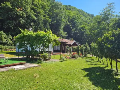 a garden with a house and trees and grass at Vitez Koja in Vrnjačka Banja