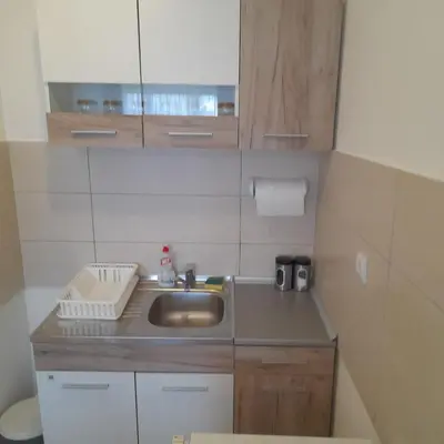 a small kitchen with a sink and wooden cabinets at Apartman Ignjatović in Vrnjačka Banja