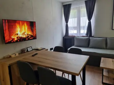 a living room with a table and a fireplace at AURORA Bela reka C117, Brzeće in Brzeće