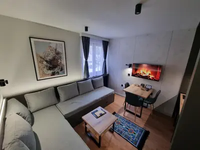 a living room with a couch and a table with a fireplace at ANIMA Bela reka C121, Brzeće in Brzeće